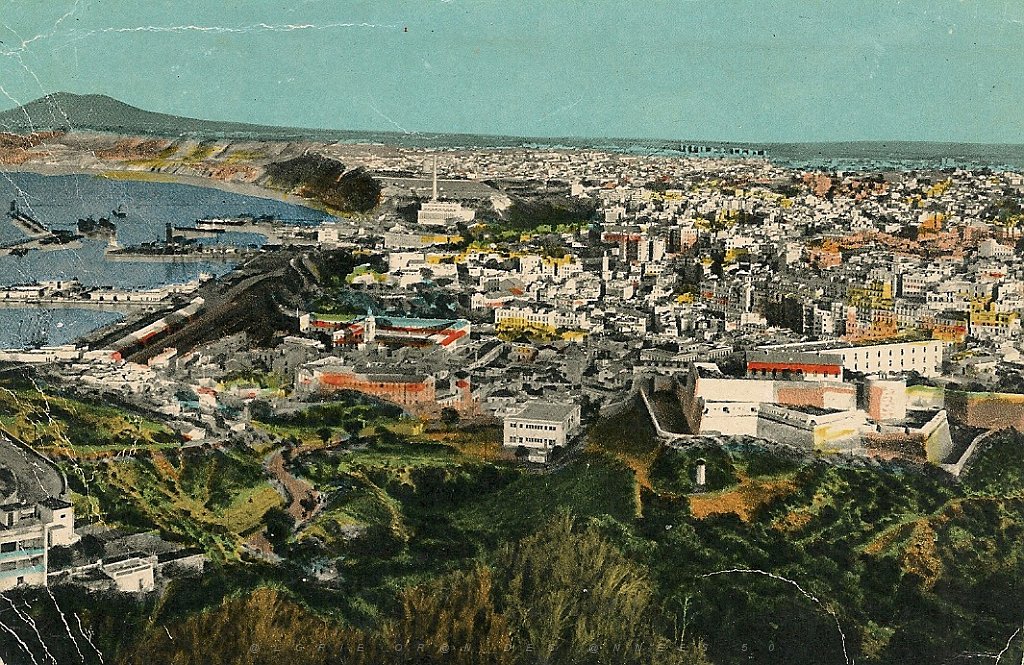 333-Oran vue generale annees 50.jpg